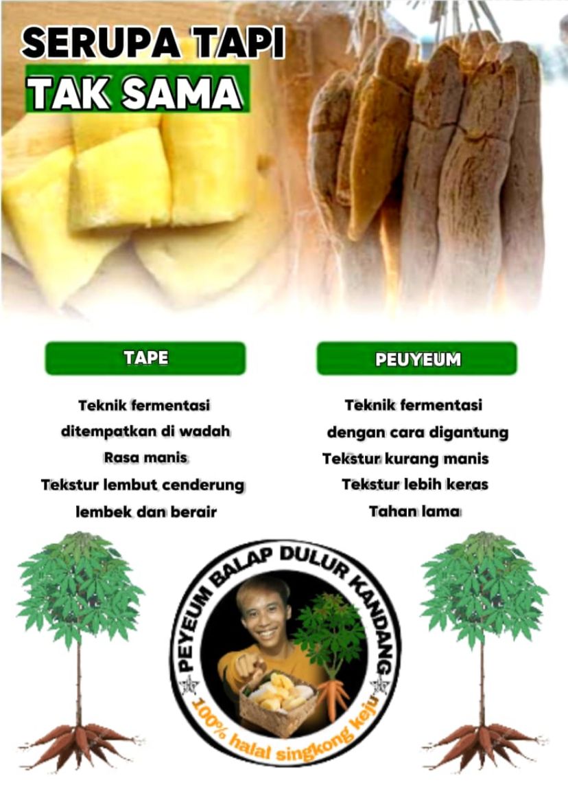 WhatsApp_Image_2025-05-20_at_5-16-33_PM